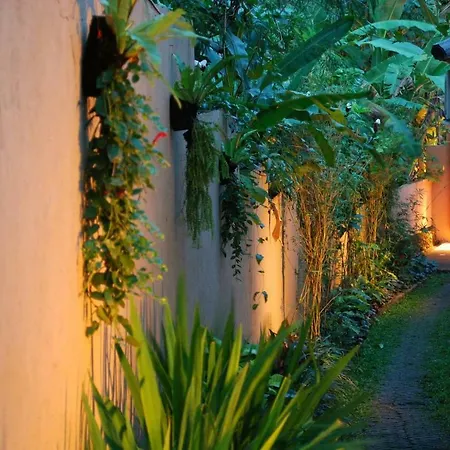 Villa Elysium Fields - Rustic Meets Industrial Chic Design Canggu  Exterior photo